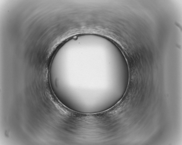 X0000093361507200710251119