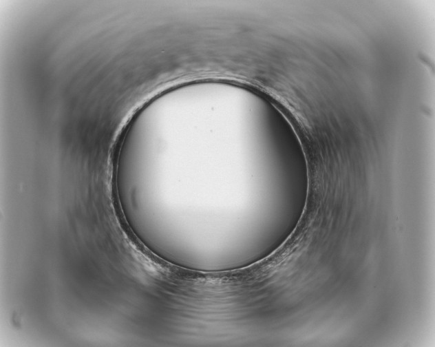X0000093361508200710251119