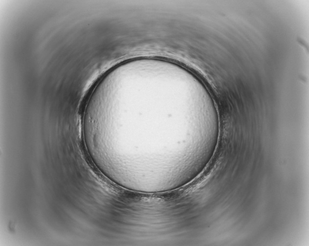 X0000093361509200710251119