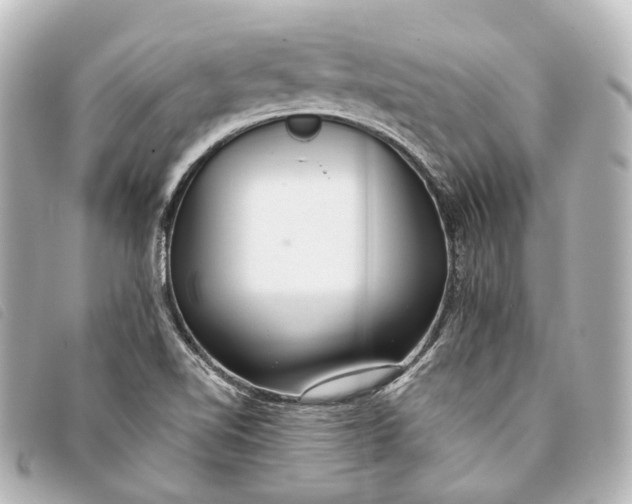 X0000093361510200710251119