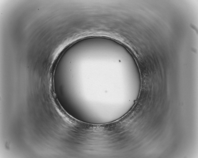 X0000093361511200710251119