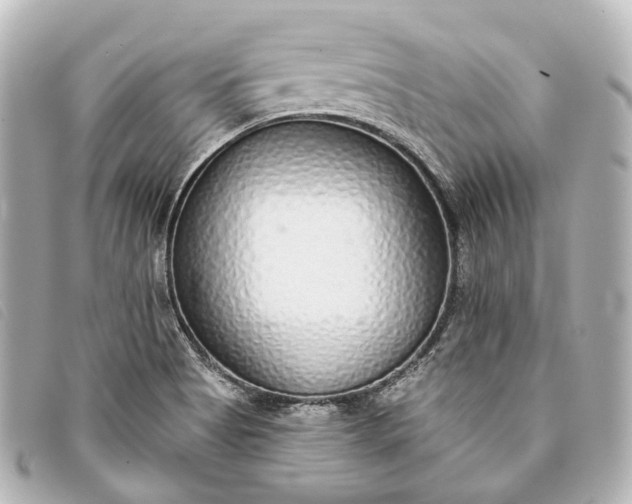X0000093361513200710251119
