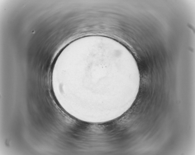 X0000093361514200710251119
