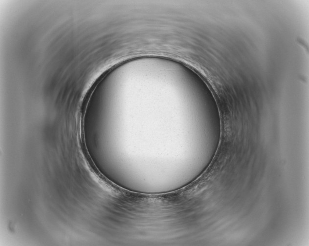 X0000093361515200710251120