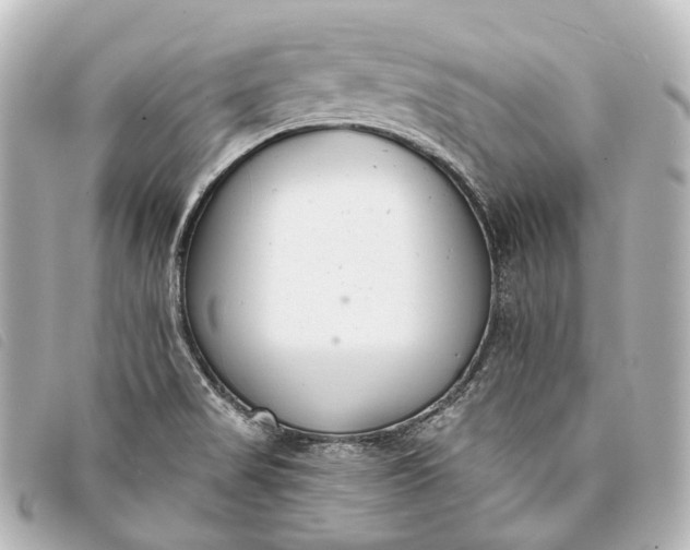 X0000093361517200710251120