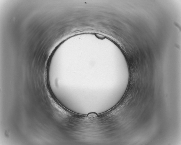 X0000093361518200710251120