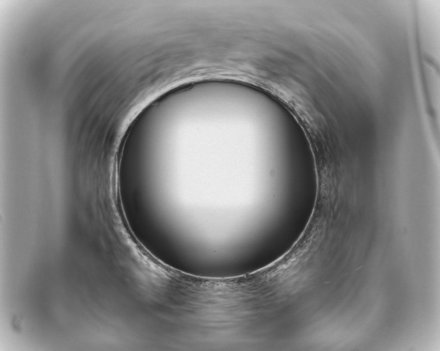 X0000093361520200710251120