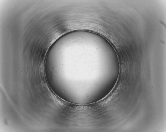 X0000093361521200710251120