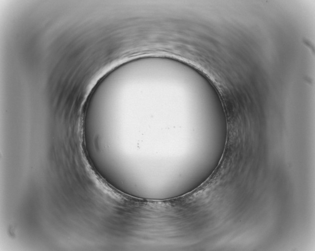 X0000093361526200710251120