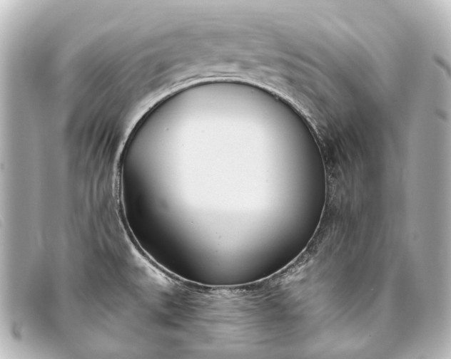 X0000093361527200710251120