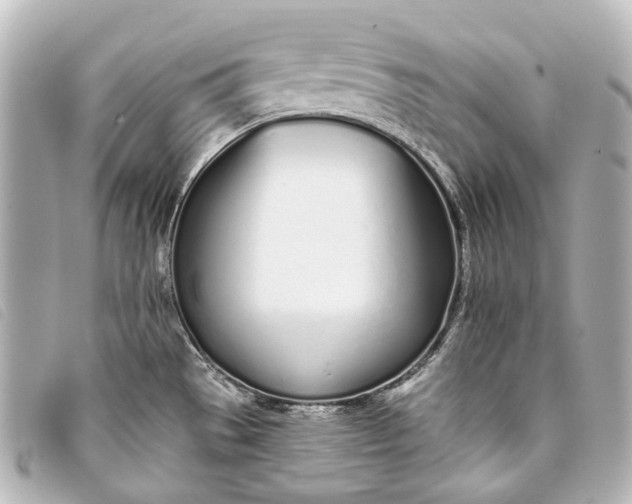 X0000093361529200710251120