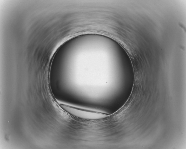 X0000093361530200710251120