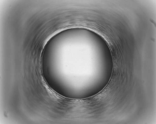 X0000093361534200710251120
