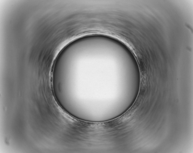 X0000093361535200710251120