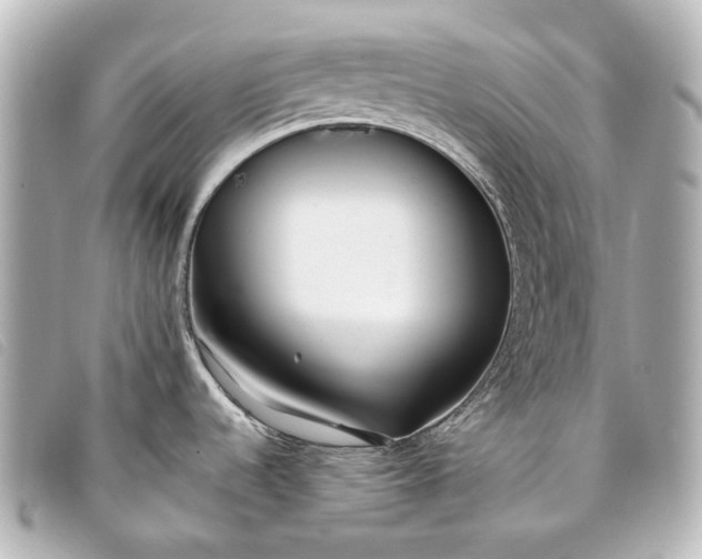 X0000093361536200710251120