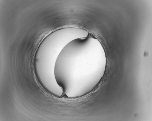 X0000093360001200711011217