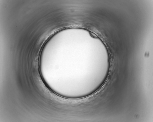 X0000093360002200711011217