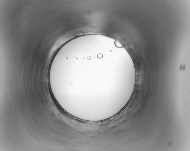 X0000093360004200711011217