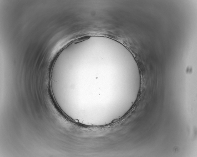 X0000093360005200711011217