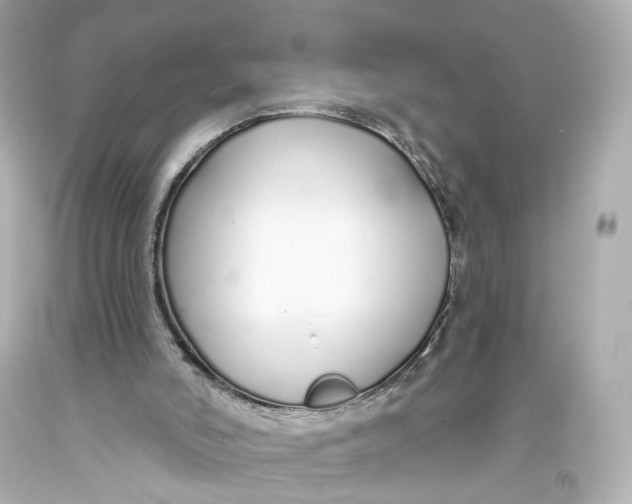 X0000093360006200711011217