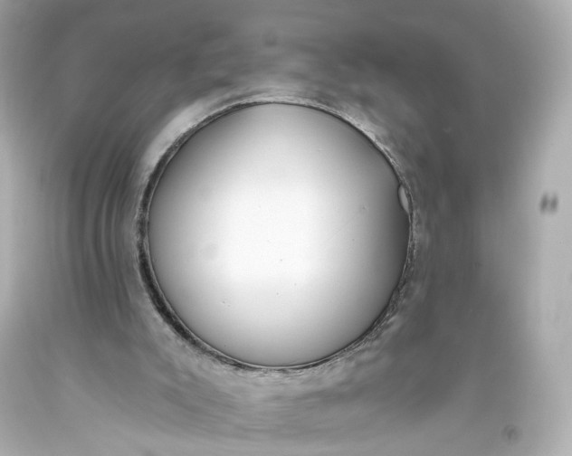 X0000093360007200711011217