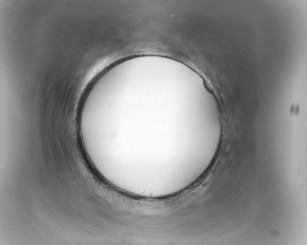 X0000093360008200711011217