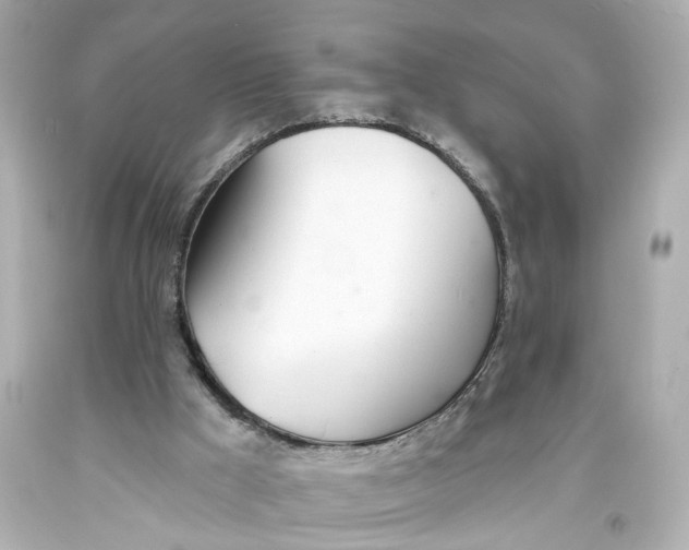 X0000093360009200711011217