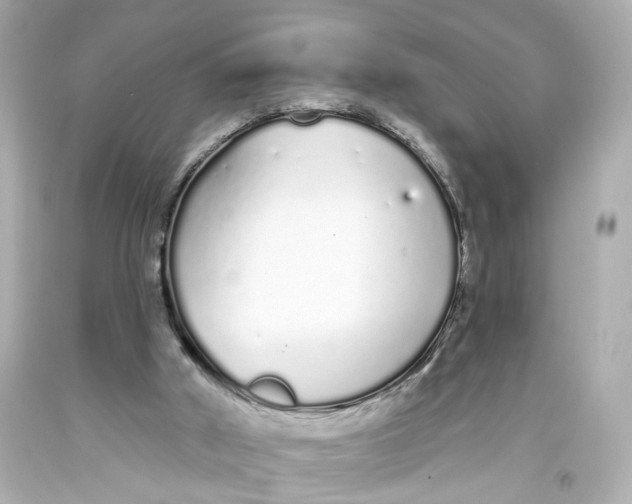 X0000093360010200711011217