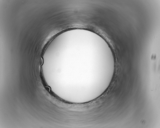 X0000093360011200711011217