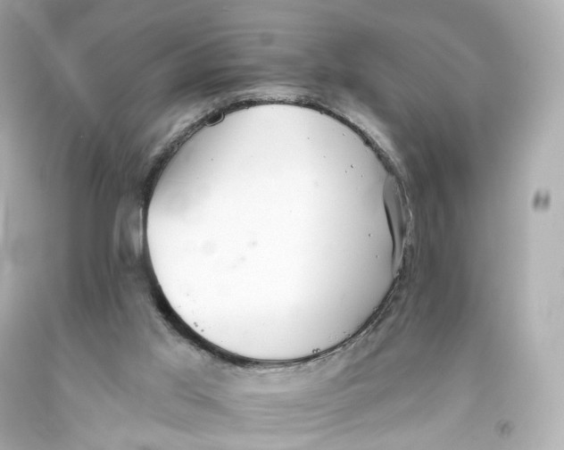 X0000093360013200711011217