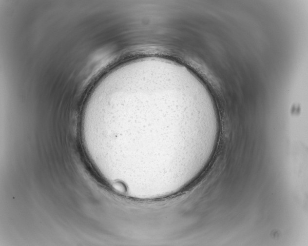 X0000093360014200711011217