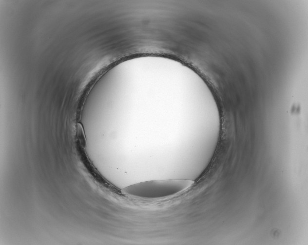 X0000093360015200711011216