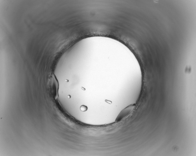 X0000093360017200711011216