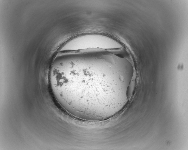 X0000093360019200711011216