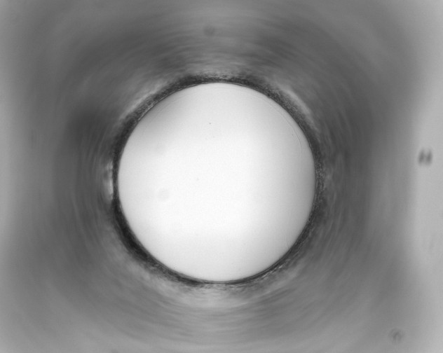 X0000093360020200711011216