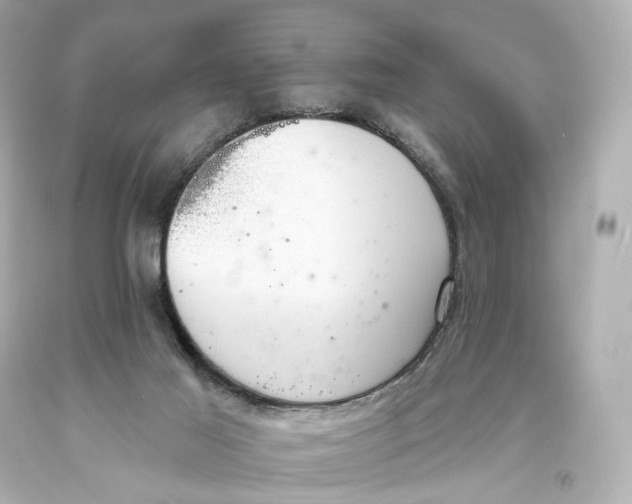 X0000093360021200711011216