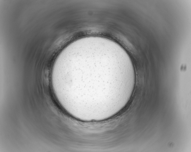 X0000093360022200711011216