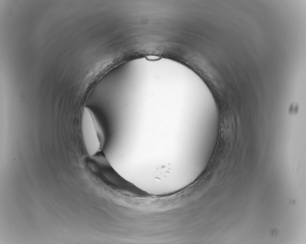 X0000093360023200711011216