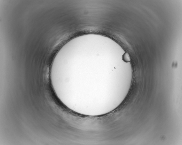 X0000093360024200711011216