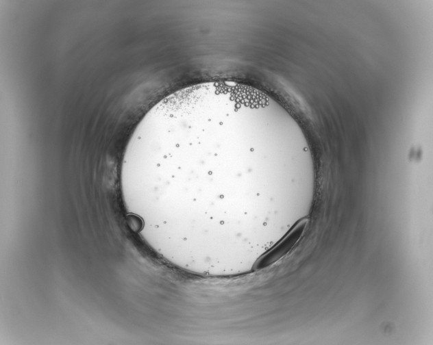 X0000093360025200711011216