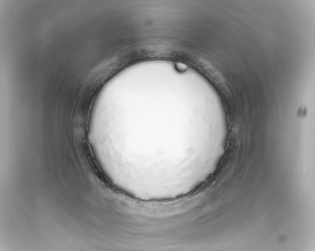 X0000093360026200711011216