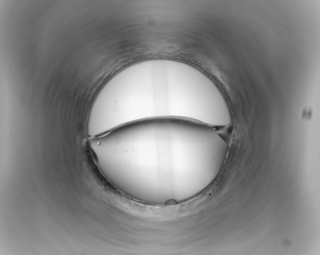 X0000093360027200711011216