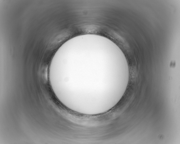 X0000093360028200711011216