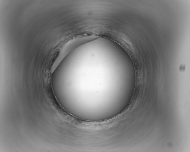 X0000093360029200711011216