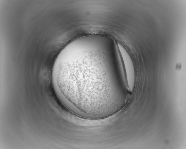 X0000093360031200711011216