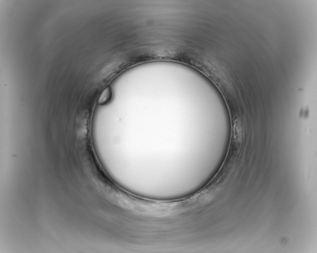 X0000093360032200711011216