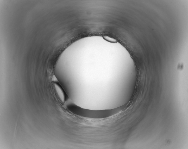 X0000093360033200711011216