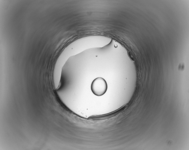 X0000093360035200711011216