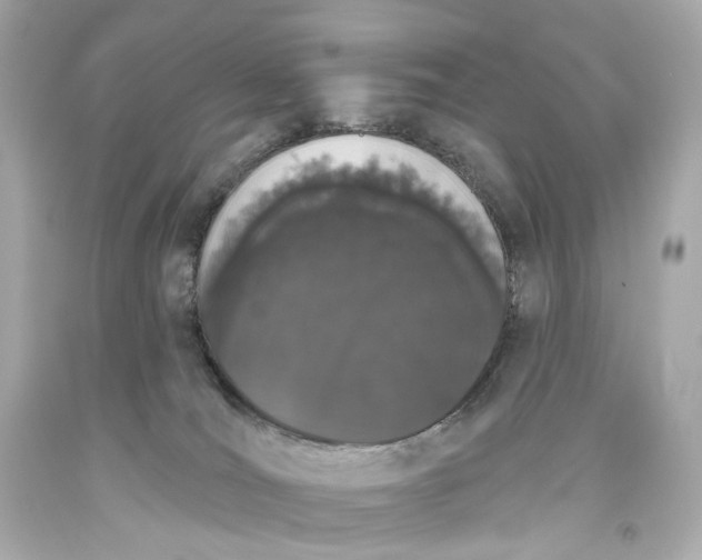 X0000093360036200711011216