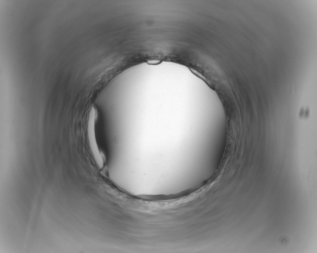 X0000093360037200711011216